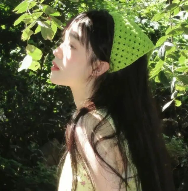 盗贼泰瑞莎